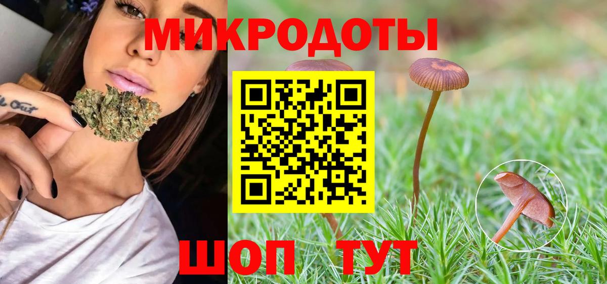 Псилоцибиновые грибы Psilocybine cubensis  Вход с VPN  Троицк  закладки  Псилоцибиновые грибы мухоморы 